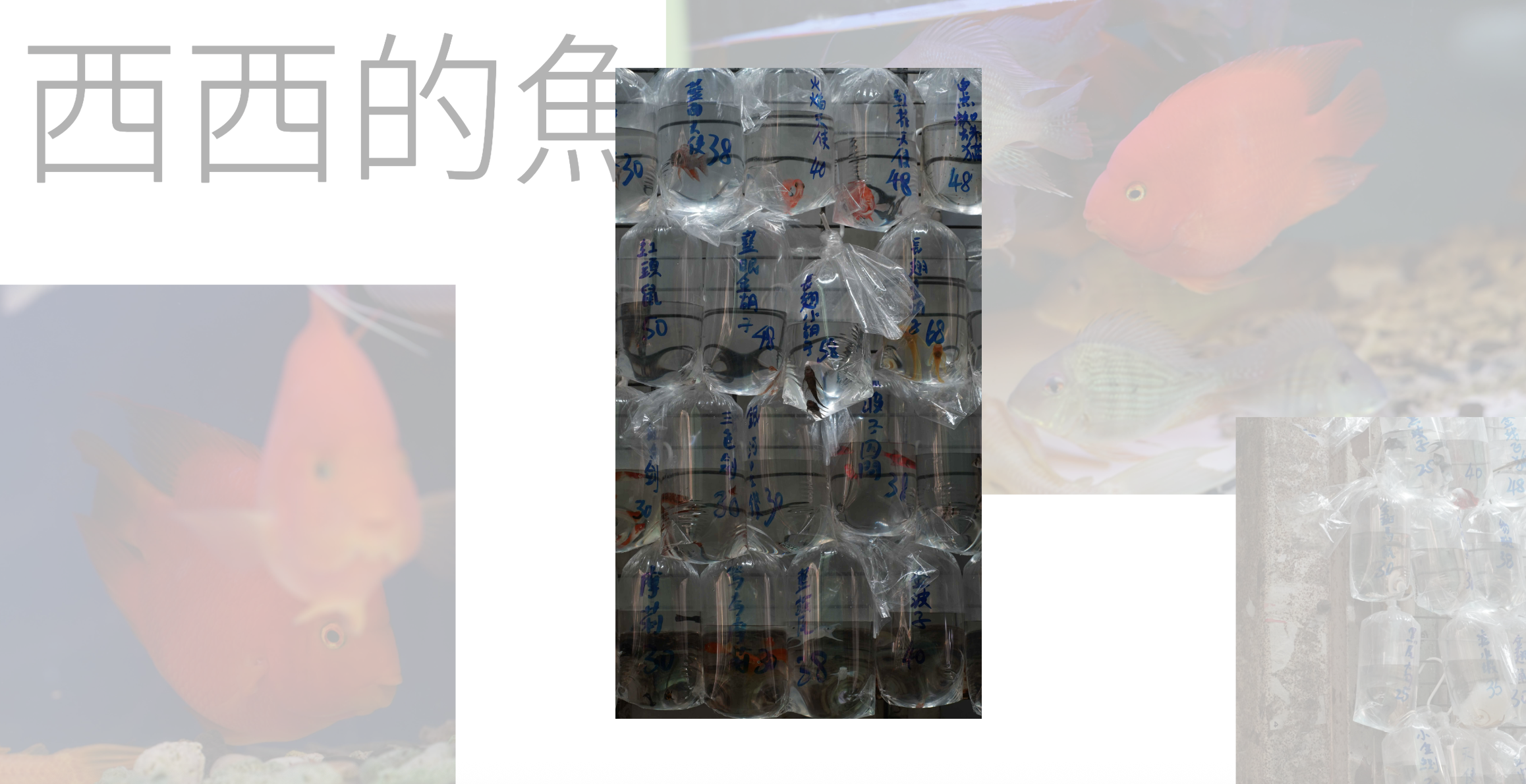 Project image.